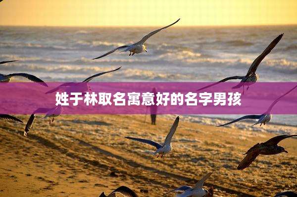 姓于林取名寓意好的名字男孩