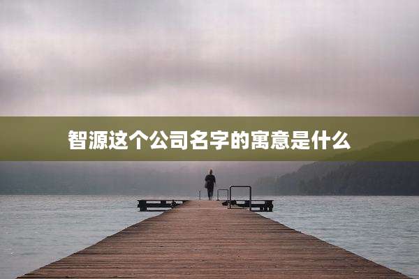 智源这个公司名字的寓意是什么