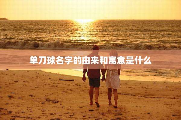 单刀球名字的由来和寓意是什么