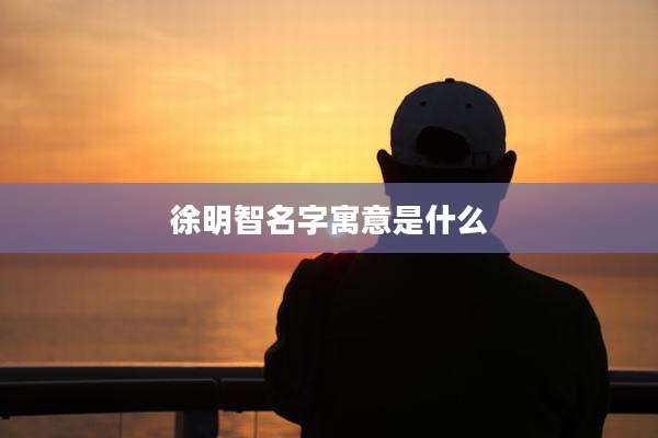 徐明智名字寓意是什么