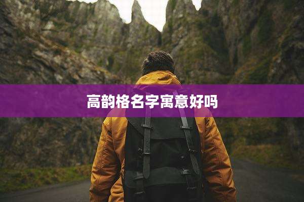 高韵格名字寓意好吗