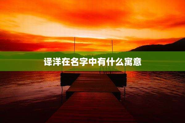 译洋在名字中有什么寓意