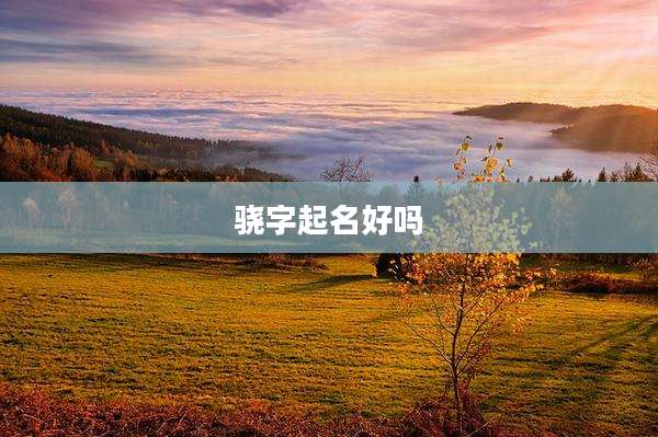 骁字起名好吗