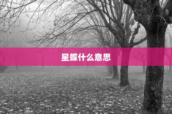 星蝶什么意思
