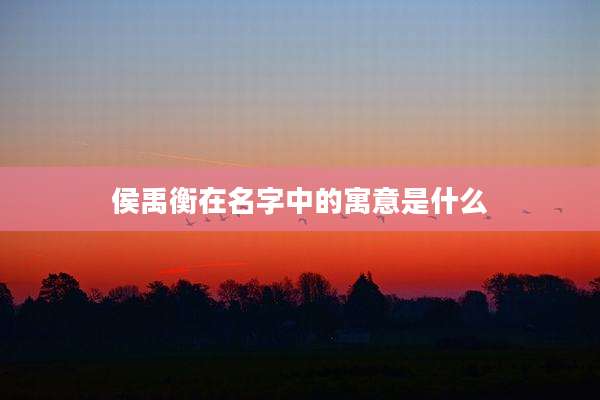 侯禹衡在名字中的寓意是什么