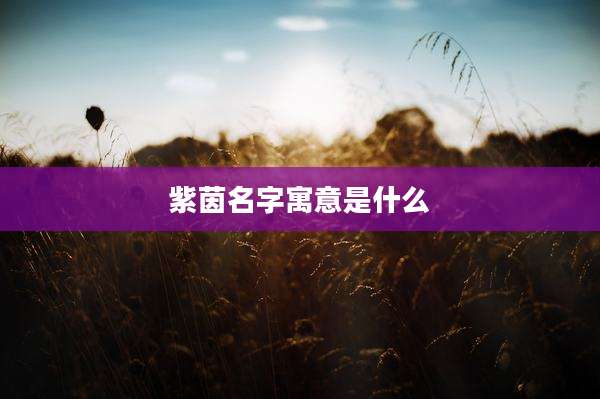 紫茵名字寓意是什么