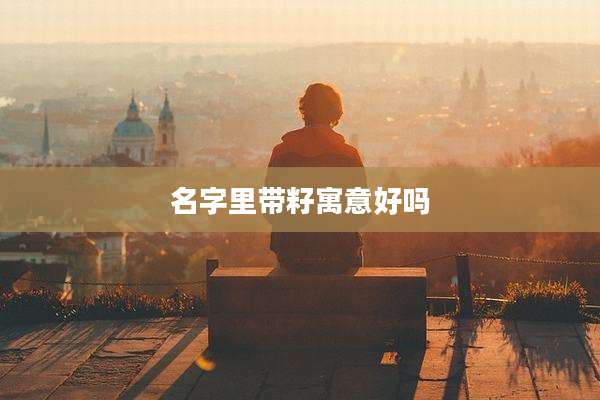 名字里带籽寓意好吗
