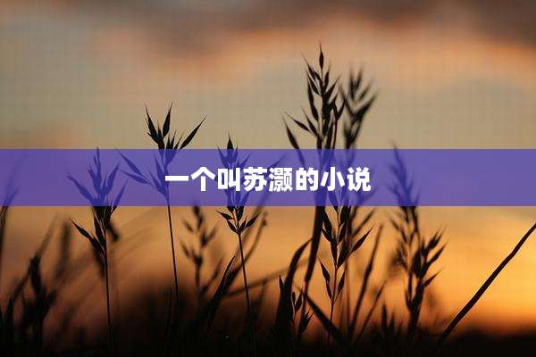 一个叫苏灏的小说