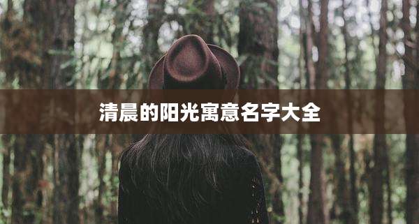 清晨的阳光寓意名字大全