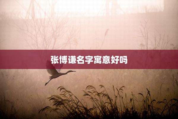 张博谦名字寓意好吗