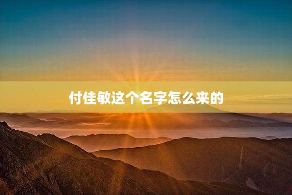 付佳敏这个名字怎么来的
