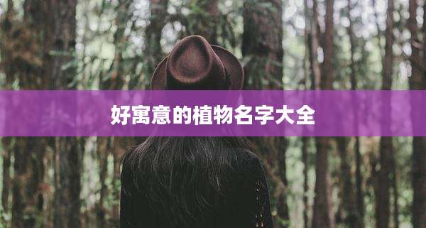 好寓意的植物名字大全