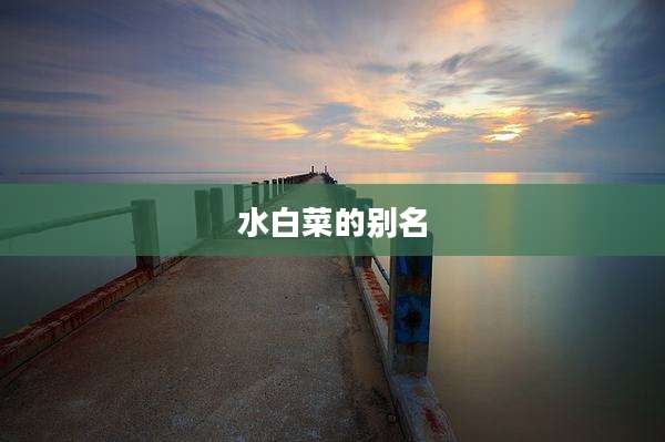 水白菜的别名