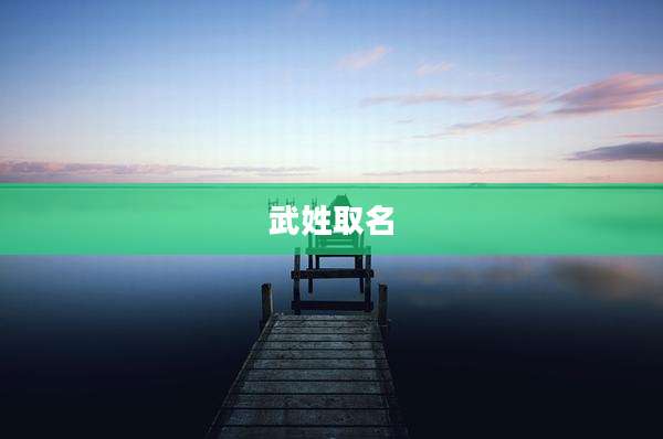 武姓取名