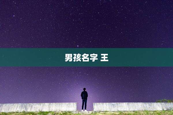 男孩名字 王