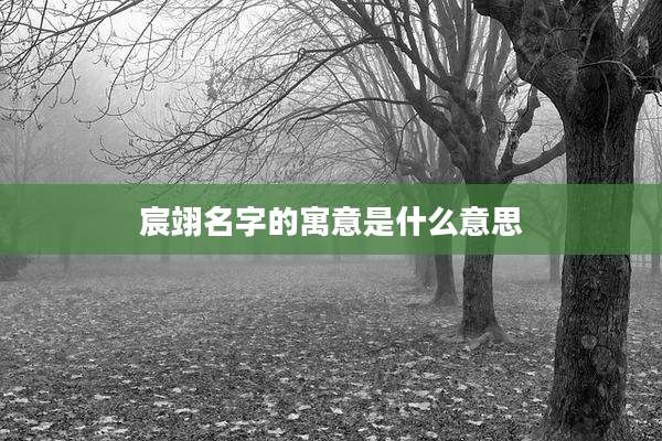 宸翊名字的寓意是什么意思