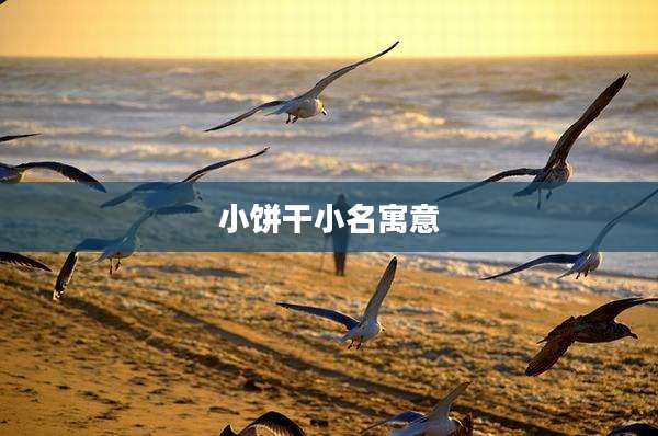 小饼干小名寓意