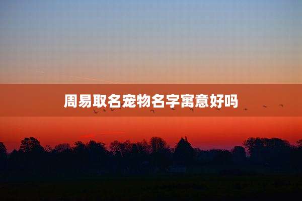 周易取名宠物名字寓意好吗