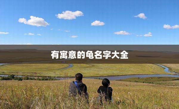 有寓意的龟名字大全