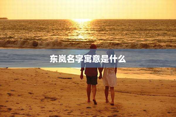 东岚名字寓意是什么
