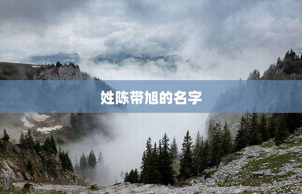 姓陈带旭的名字