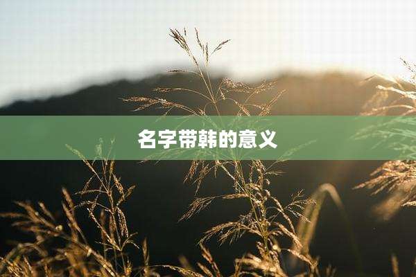 名字带韩的意义