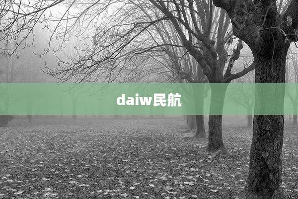 daiw民航