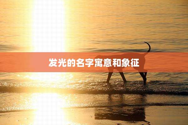发光的名字寓意和象征