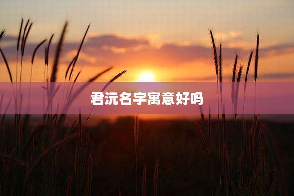 君沅名字寓意好吗