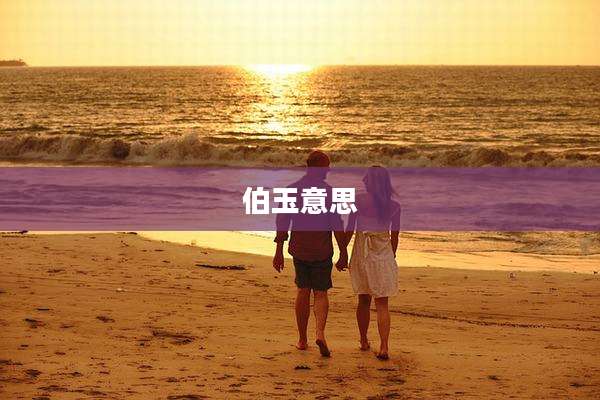 伯玉意思