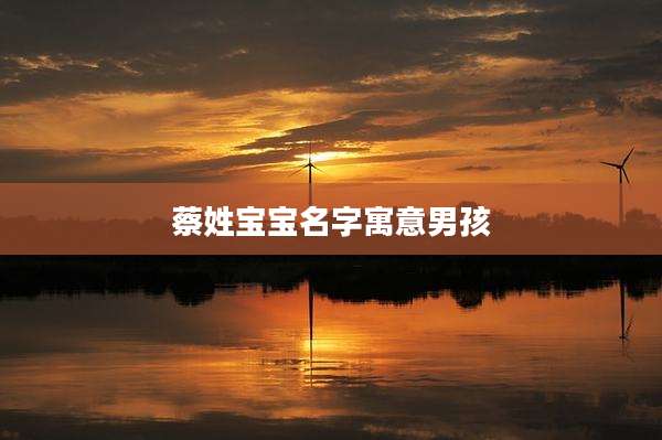 蔡姓宝宝名字寓意男孩
