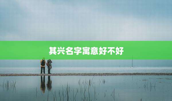 其兴名字寓意好不好