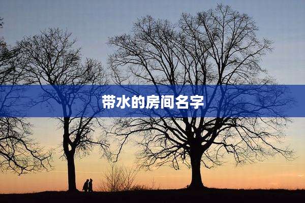 带水的房间名字