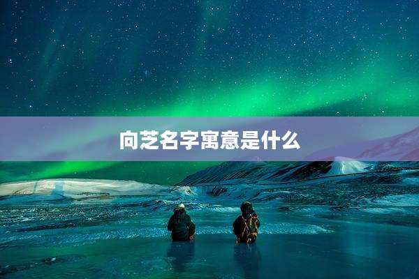向芝名字寓意是什么