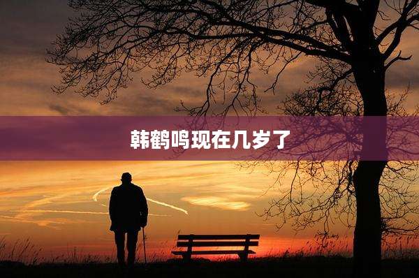 韩鹤鸣现在几岁了