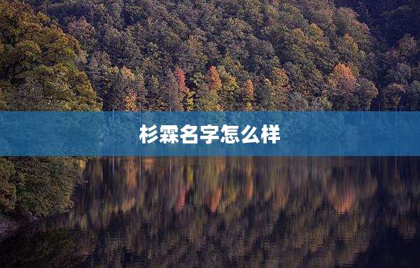 杉霖名字怎么样
