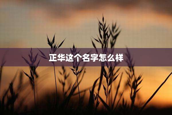 正华这个名字怎么样