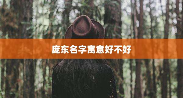 庞东名字寓意好不好