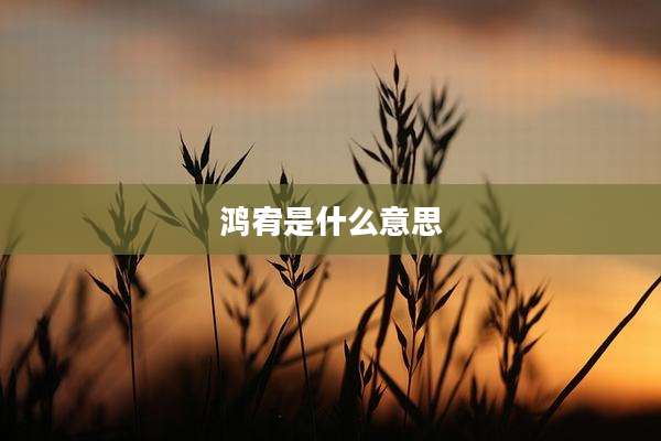 鸿宥是什么意思