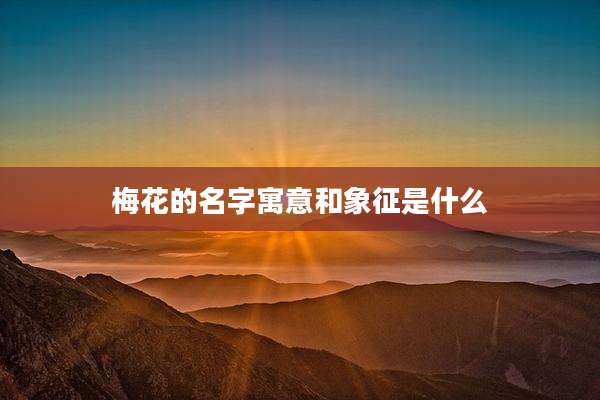 梅花的名字寓意和象征是什么