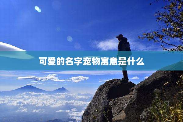 可爱的名字宠物寓意是什么