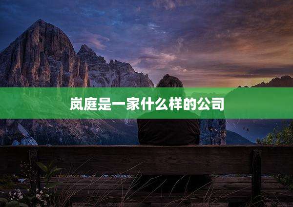 岚庭是一家什么样的公司