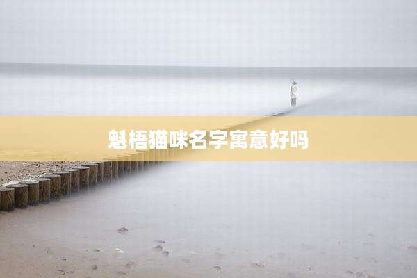 魁梧猫咪名字寓意好吗