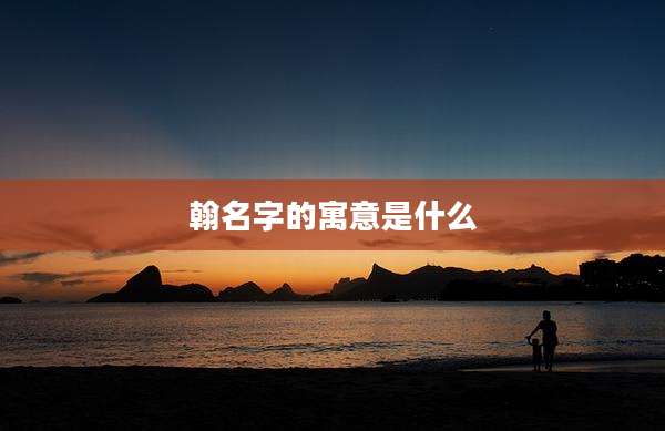 翰名字的寓意是什么