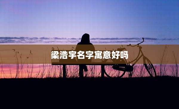 梁浩宇名字寓意好吗