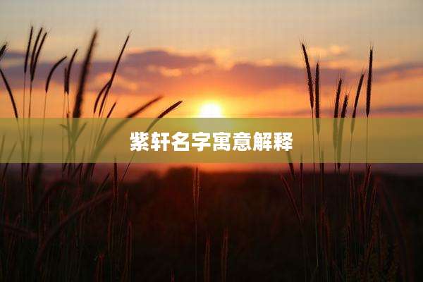 紫轩名字寓意解释