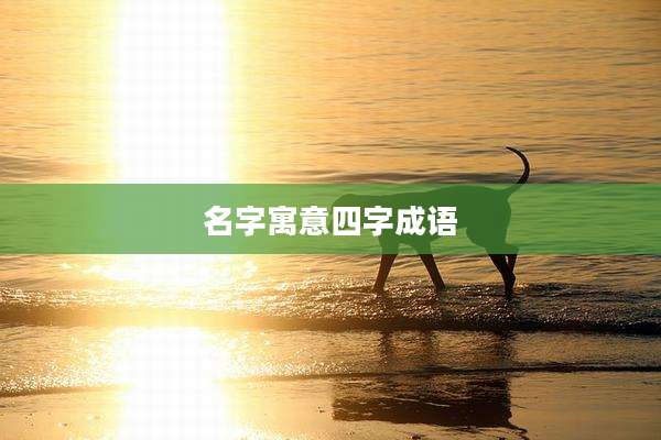 名字寓意四字成语