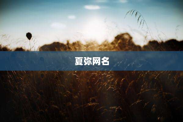 夏弥网名