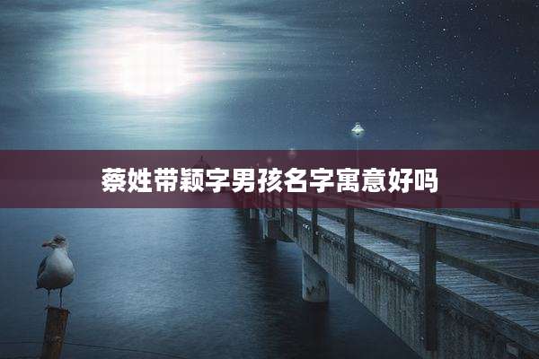 蔡姓带颖字男孩名字寓意好吗