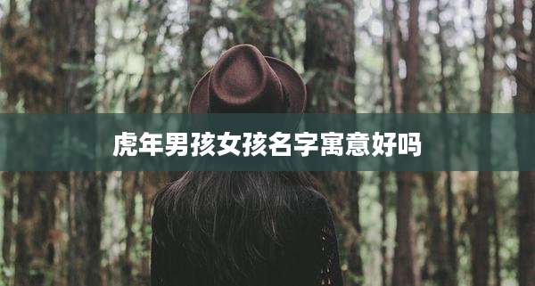 虎年男孩女孩名字寓意好吗